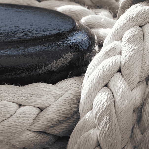 numbered article image